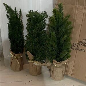 Set of Three Mini Pine Trees with Burlap base